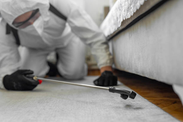 Professional Bed Bug Control technician working in Lewisburg, TN