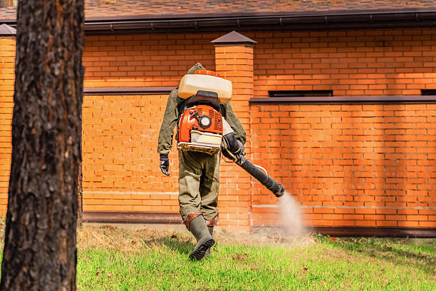 Trusted Termite Control service in Lewisburg, TN - Nex Pest Control